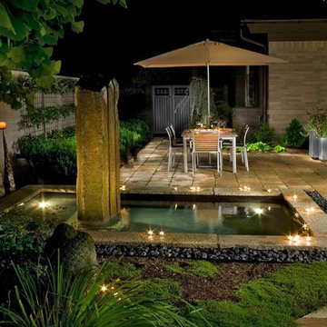 Fusion Garden