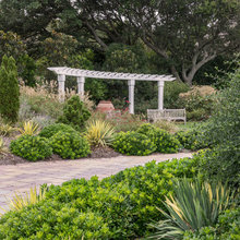 Landscape Ideas