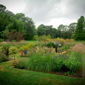 Transition an overgrown site into a multi-season native garden in CT