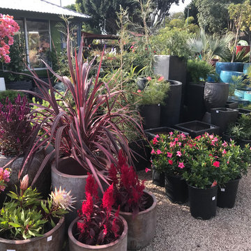 Local Nurseries