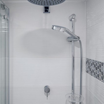 Penthouse Bathroom Conversion (Ottawa)