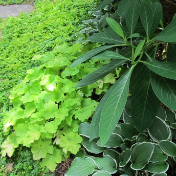 Interesting Variety of Plant Textures and Colors
