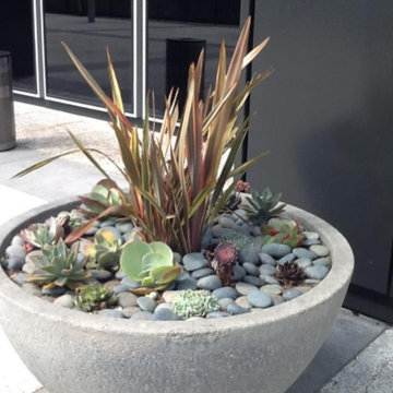 Interior & Exterior Environmental Designs