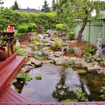 Ecosystem Ponds