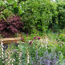 shade garden