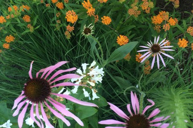 Design ideas for a rustic landscaping in Other.