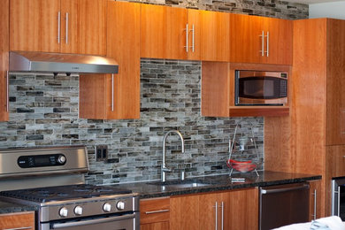 Kitchen - modern kitchen idea in San Francisco