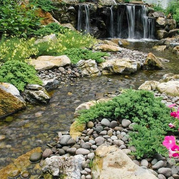 Backyard Wildlife Habitat