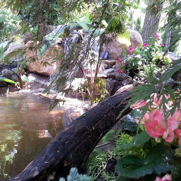 Water Features and Ponds