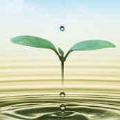 Marco Wu's photo
