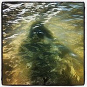 Kris Burwash's photo