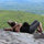 webuser_7492795
