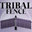 Tribal Fence