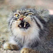 Kit Cox's photo
