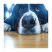 Charlene Fougere's photo