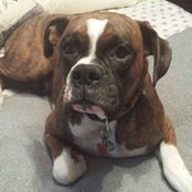 Jayne Harrar's photo