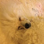 Lori Houck's photo
