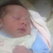 Nour El-Deen's photo