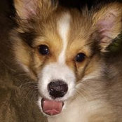 Marcie Molnar's photo