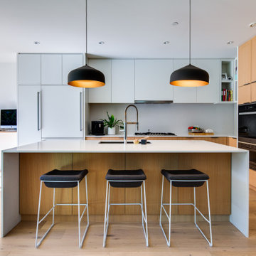 Mount Pleasant Modern | Single Family Home