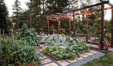 6 choses à savoir avant de faire un potager dans son jardin