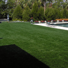 Turf
