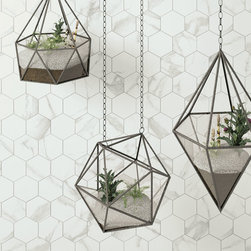 Statuario - Wall And Floor Tile