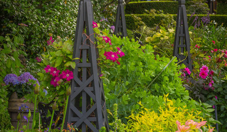 9 Ways to Create Height in Your Garden
