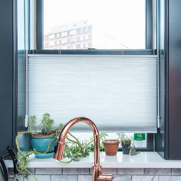 Washington, DC Retro Remodel and Bump-up