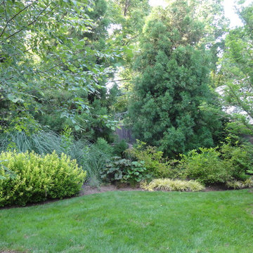 Residential landscapes