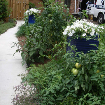 Hidden Veggies in Front Yard Landscape