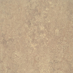 Forbo - Forbo Marmoleum Modular, Horse Roan - T3232, 10" x 10" - Flooring
