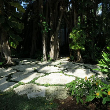 Miami Beach Residence