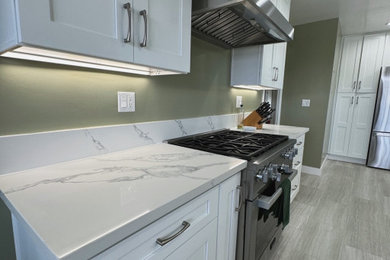 Example of a minimalist kitchen design in Los Angeles
