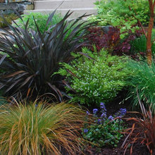Garden ideas