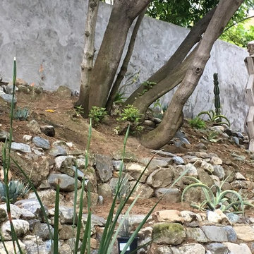Sculptural Canyon Garden with Low Water Succulents