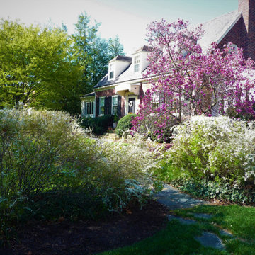 March Splendor