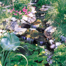 Landscape Ideas