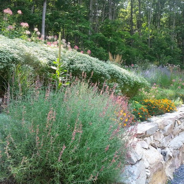 Naturescape and Edible Forest Garden