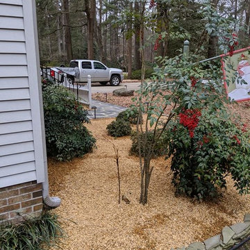 Garden Bed Cleanup