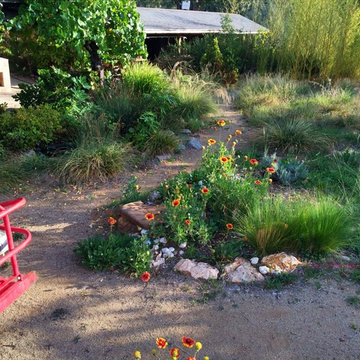 Lawn Conversion, Shingle Springs, CA