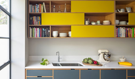 Are These the Best Kitchen Storage Ideas on Houzz?
