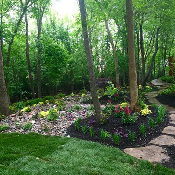 Woodland Stream Bed-Leawood