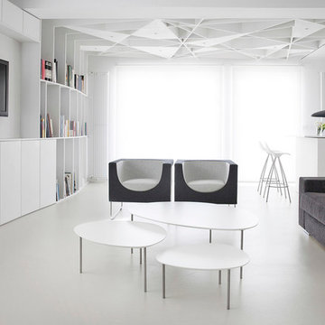 THE WHITE APARTMENT