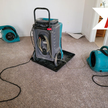 A1 Restoration