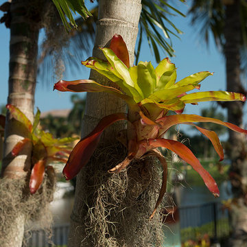 Jupiter Waterfront Paradise