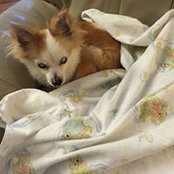 Mary Wolf's photo