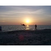 Patricia O'Leary's photo