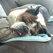 Foto de Norma Newcomb