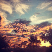Jeffrey Fulk's photo